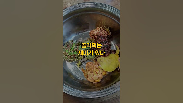 화려한 개구리는 무슨맛일까?#shorts