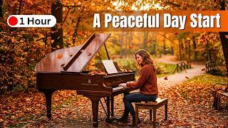 A Peaceful Start Gentle Solo Piano for a Productive Morning🕊️ screenshot 3