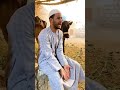 لما تروح تذبح لواحد خروف يوم العيد شوف حصل ايه وليد الليثي Shorts لما تروح تذبح لواحد خروف يوم العيد شوف حصل ايه وليد الليثي Shorts