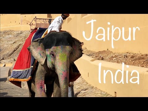 Video: 5 Saker Att Göra I Jaipur, Indien - Matador Network