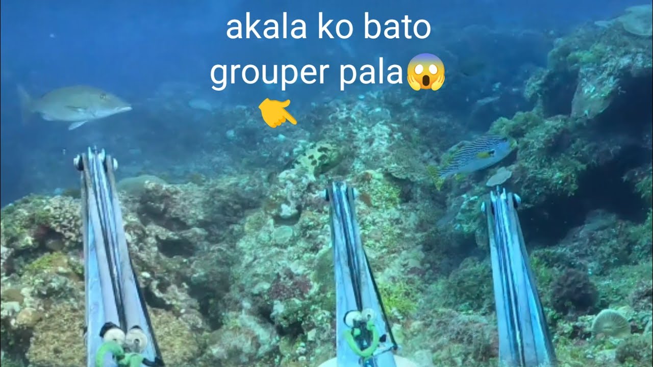 ito na ang the best magkasunod sila nagpakita salamat 🙏🙏🙏