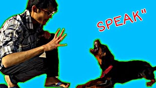 HOW to Teach Your Dog 'SPEAK' (Barking) Rottweiler Training || Roxy || Dog video || Review reloaded