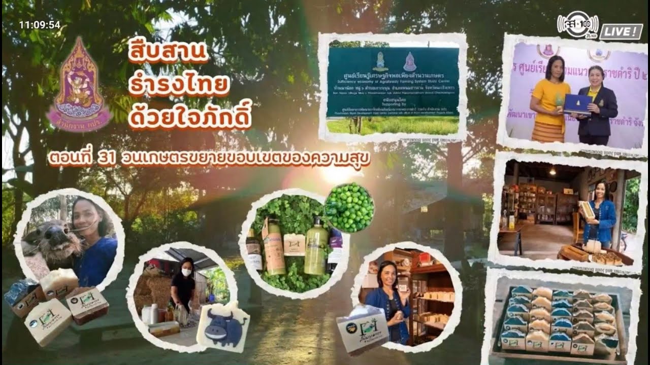 สืบสานธำรงไทย ด้วยใจภักดิ์: วนเกษตรขยายขอบเขตของความสุข