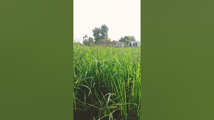 एक कमरे में पूरा घर बसाना पड़ता है