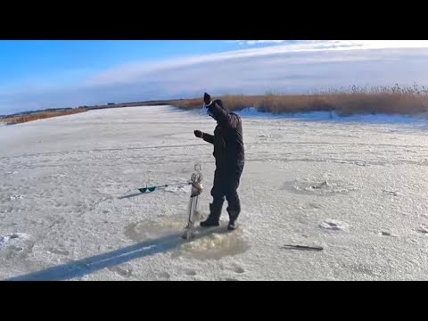Great fishing for grabs!
