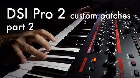 DSI Pro 2 demo: custom patches 2