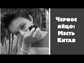 Черное яйцо: месть Китая