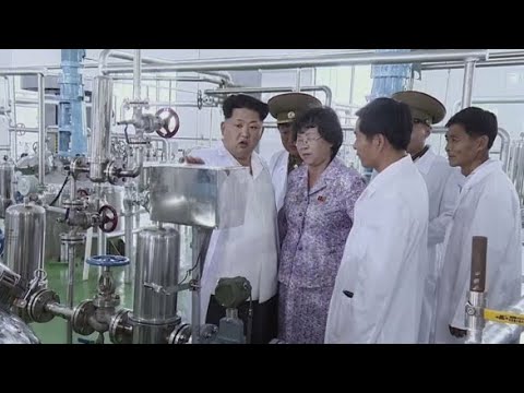 북, 개혁개방 앞두고 경제발전 모델 학습 분주 / 연합뉴스TV (YonhapnewsTV)