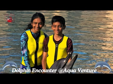 Adventures at Aquaventure Waterpark & Dolphin Encounter | Dubai Day 5 Vlog || Part 1