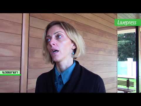 პრემიერის მრჩევლის კომენტარი