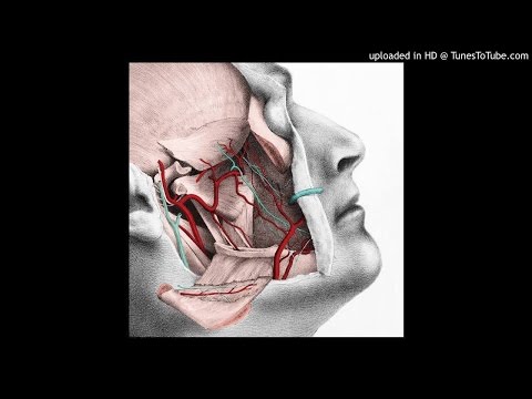 Easy - 星期二不特別容易感傷