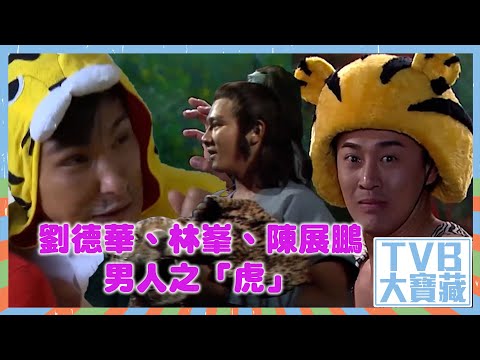 TVB大寶藏｜劉德華｜林峯｜陳展鵬｜男人之「虎」