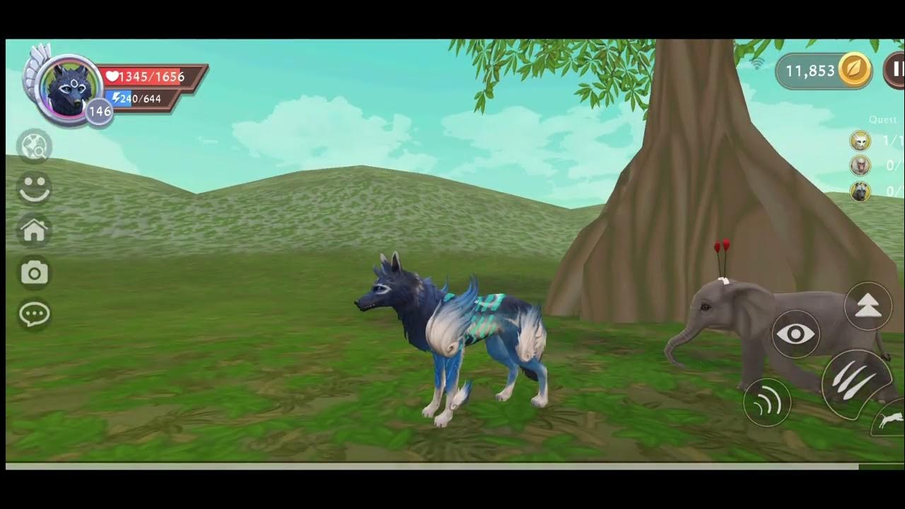 [WildCraft] 푸른라쿠는 영상 촬영을 안 할 때 주로 뭐를 할까? YouTube