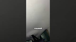 Белый потолок, который 14 лет не был на химчистке