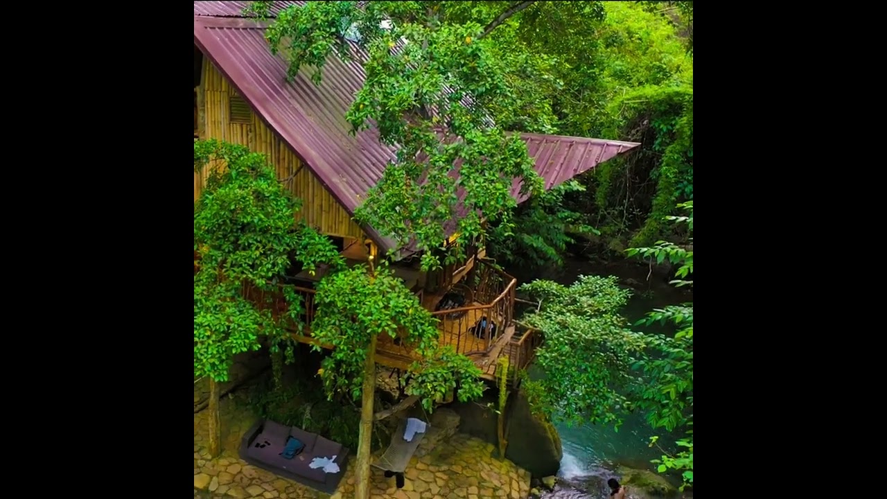 Treehouse on a Creek