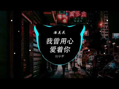 潘美辰 我曾用心爱着你 DJ小罗 ProgHouse Rmx 2023 Hot Douyin Tiktok 2023