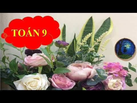 Video TOÁN 9. Cách vẽ đồ thị hàm số bậc nhất y = 2x - 3. - youtube