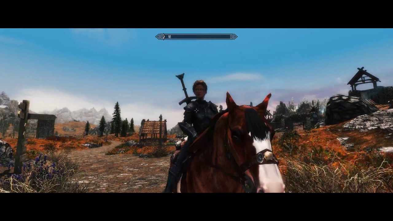 skyrim se 60 fps skyrim se 60 fps