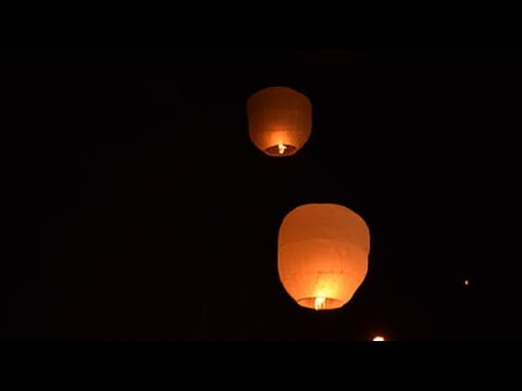 新鸳鸯蝴蝶梦  (lyrics video) - 祥嘞嘞