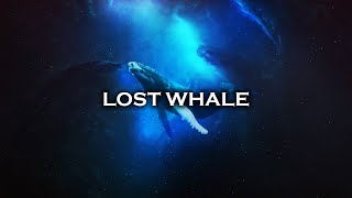 Lost Whale | 741 Hz Meditation Music - Sleep Under Water : Cleanse Your Negative Energy