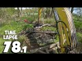 Removing Trees Felled By Beavers From The Drainage Ditch With An Excavator No.78 - Time-Lapse