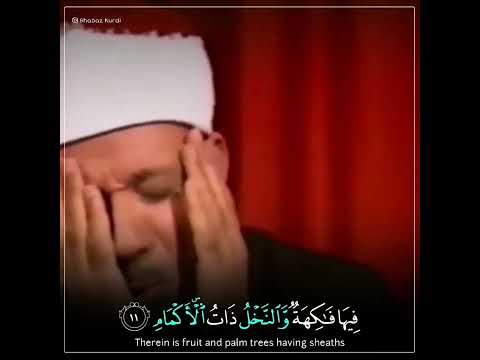 و ٱل أ ر ض و ض ع ه ا ل ل أ ن ام برواية خلف عن حمزة الشيخ عبدالباسط عبدالصمد