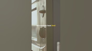Myth or Fact? Microwaves Cause Cancer! ⚠️📡