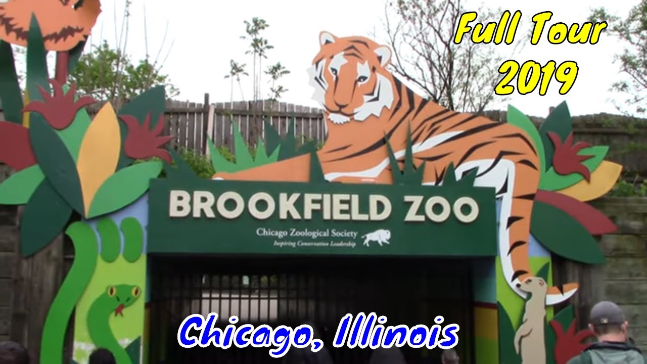 Brookfield Zoo Full Tour Chicago, Illinois YouTube