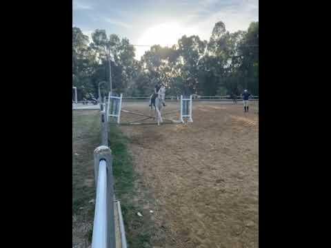 cavallo salto