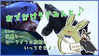 【お雑談】おでかけうさみんと♪～atoaと須磨シー、シーライフ水族館にいってきたよ～【Vtuber】