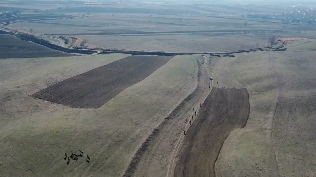 Кош Добо Айылы Тай байге 2024