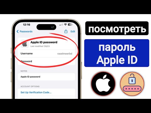 Как увидеть свой пароль Apple ID на iPhone (2024) | Как увидеть пароль Apple ID, если вы его забыли