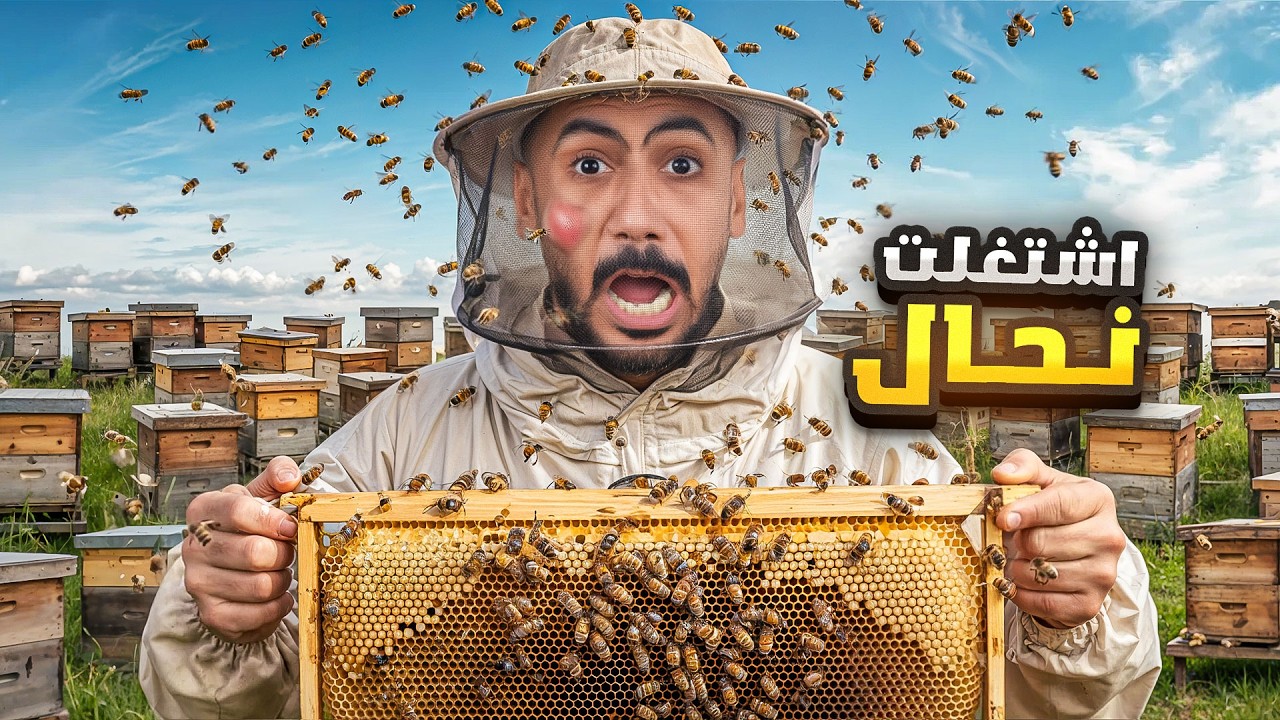 تحدي مين يصيد ملكة النحل!🐝🍯| الفائز له 3000$💵