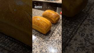 Shaping and Baking Sourdough Sandwich Loaves #sourdough #baking #bread