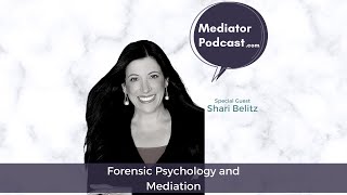 What is Anchoring? What is Adjustment? (Mediation New York and Saint Louis)