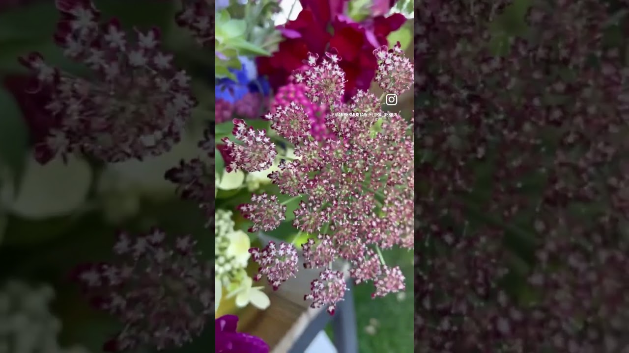 Designing a flower arrangement with locally grown flowers | online floral design course