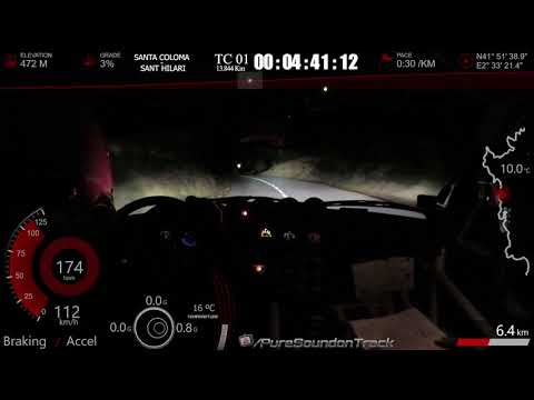RALLY ACTION On Board full throttle rally pure sound