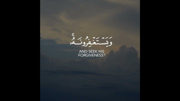أجمل حالات واتس اب قرآن كريم بدون حقوق بصوت عبدالرحمن مسعد | صوت خاشع يريح القلب❤😴