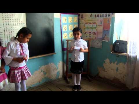 გაკვეთილის აქტივობა