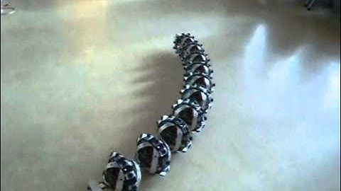 The snake robot Wheeko