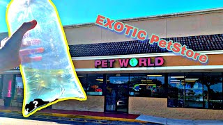 Touring An EXOTIC PET STORE In South Florida