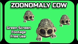 Zoonomaly Cow Video Is A Green Screen. Footage Animation Of The Green Screen.