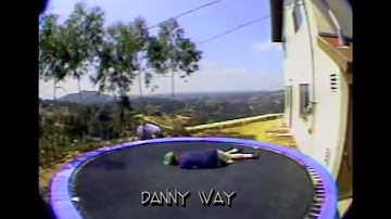 Danny Way | Plan B Skateboards - Questionable | 