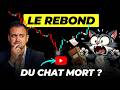 REBOND DU CHAT MORT SUR LE CAC 40 LE PIÈGE PARFAIT mp3
