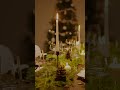 Christmas на Маврикии #маврикий #переезднапмж #christmas #рождество #2025 #недвижимость
