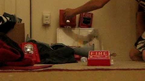 System Sensor P241575 Spectralert Classic