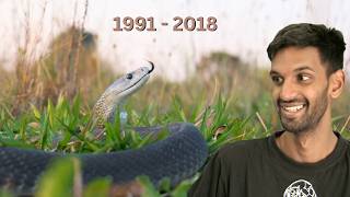I Lost My Friend To A Black Mamba Bite
