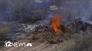 Car crash in West Valley sparks brush fire, police say