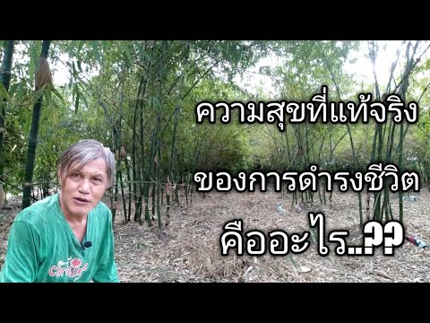 วีดีโอ: ลักษณะการดำรงชีวิตคืออะไร?