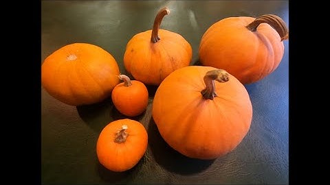 3 Methods for Freeze Dried Pumpkin